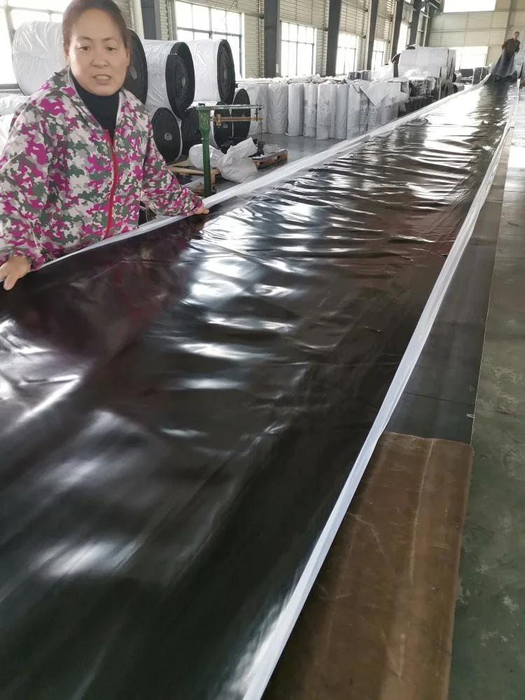 Seals Customized Neoprene EPDM SBR NBR Rubber Sheet