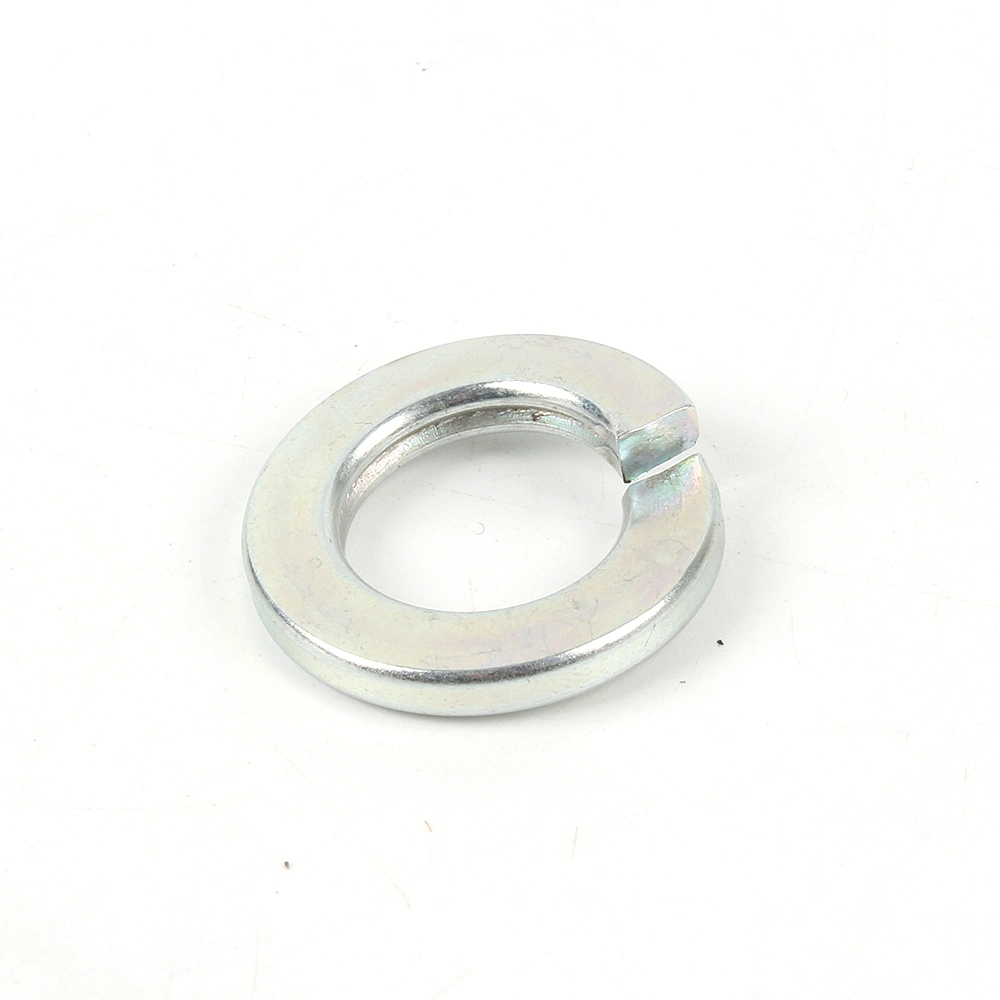 Factory Stainless Steel Spring Washers