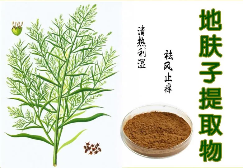 Di Fu Zi Factory Supply Best Price Chinese Herbal Medicine Kochia Scoparia Seeds Formula Granule