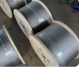 1/4'' Clear PVC/Vinyl Coated Steel Wire Rope in Plastic Reels