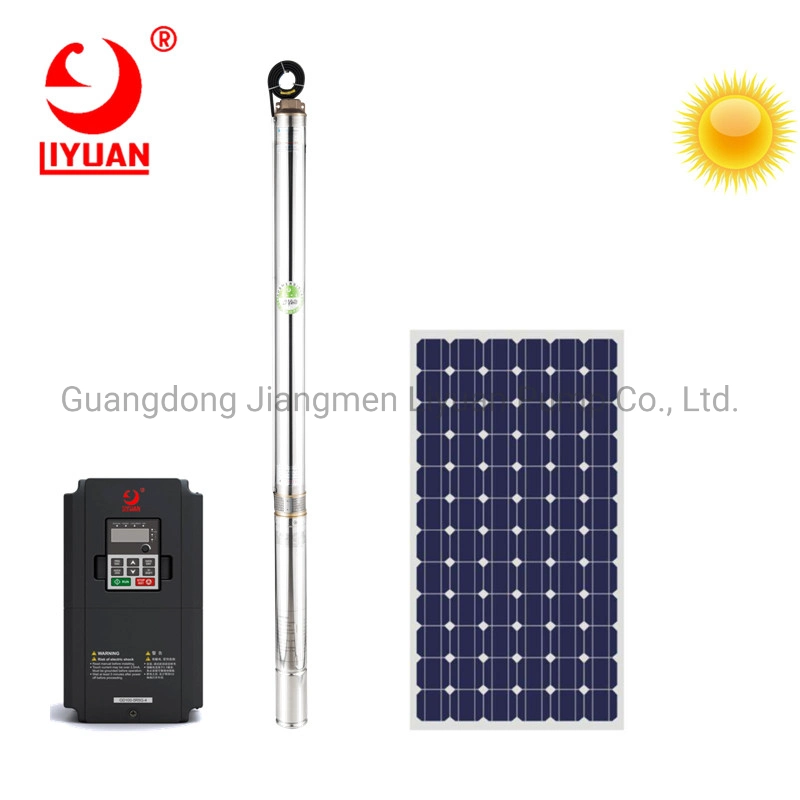 Solar Powered 6 Inch Water Pump with Inverter and Solar Panel