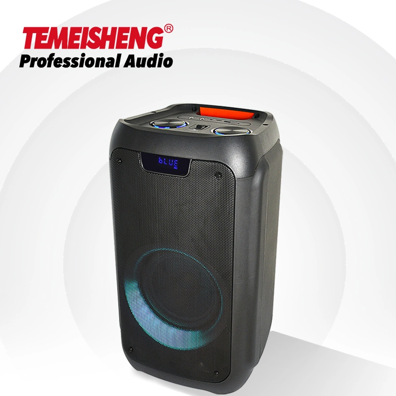 2022 Temeisheng Mobile Karaoke Speaker 8 Inch Portable Mobile Bt Speaker Sound Equipment Party Portable Speaker