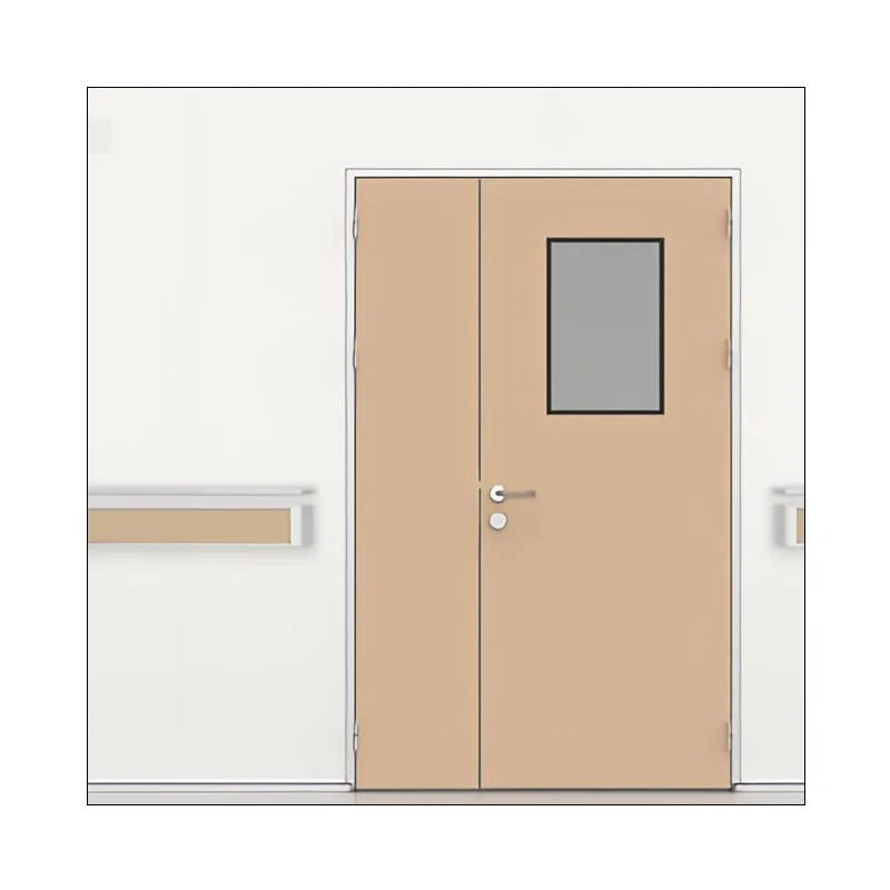 Shp Modular Swing Cleanroom Door