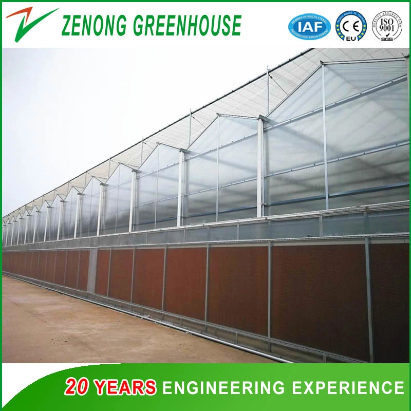 Gutter Connected PC Greenhouse with Automatic Ventilation/Cooling/Irrigation System for Seed Breeding