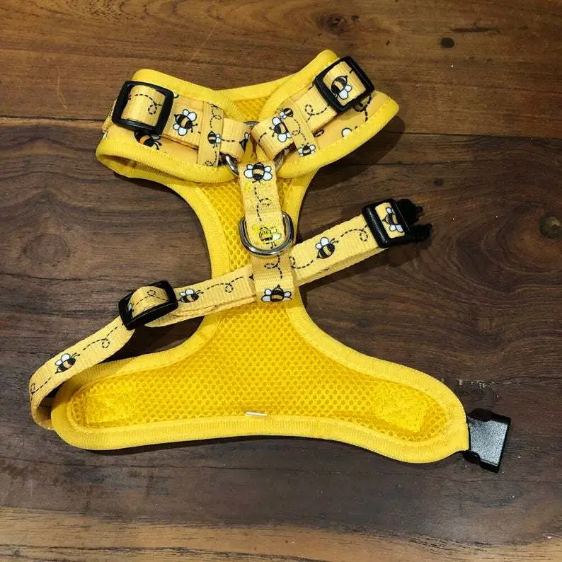 Popular Pet Dog Harness Training Accessories