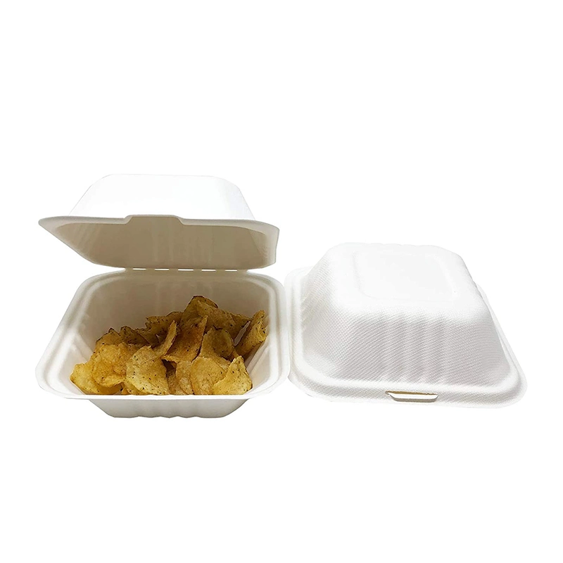 2022 10 Inch Molded Pulp Sugarcane Bagasse Clamshell Take Away Burger Box