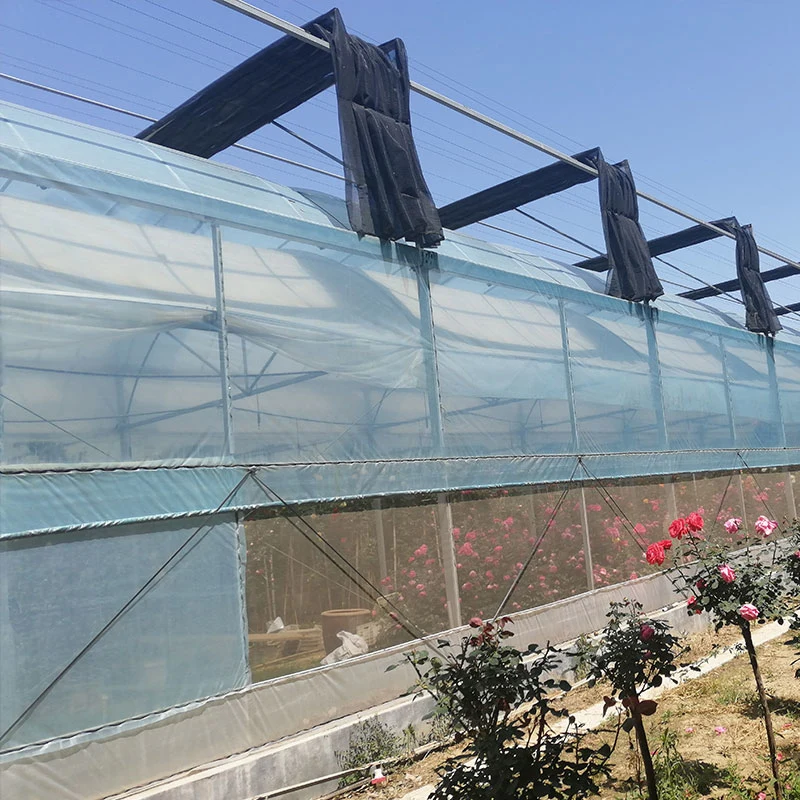 Cheap Tomato Agricultural Plastic Film Cover Low Cost Economic Tunnel Greenhouse for Vegetable