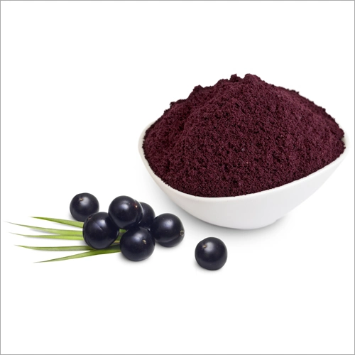 Una muestra gratis suplementos naturales bajar los lípidos sanguíneos Black Elderberry orgánicos Sambucus extraer antocianos en polvo