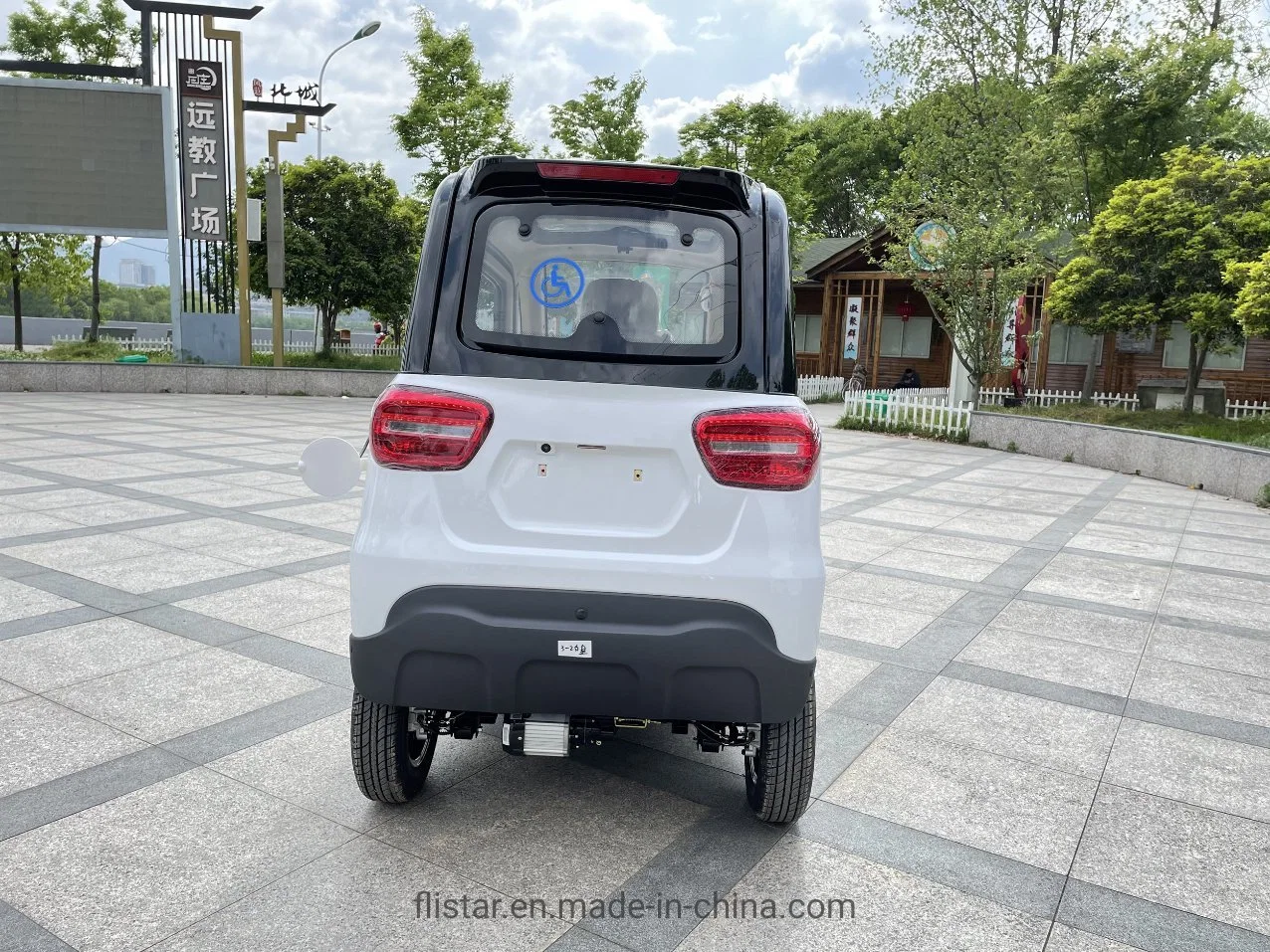 CE 1200W Elektro-Pkw 2 Sitzer Elektro-Scooter / Elektro Fahrzeug Min Elektro Auto Mobilität Scooter