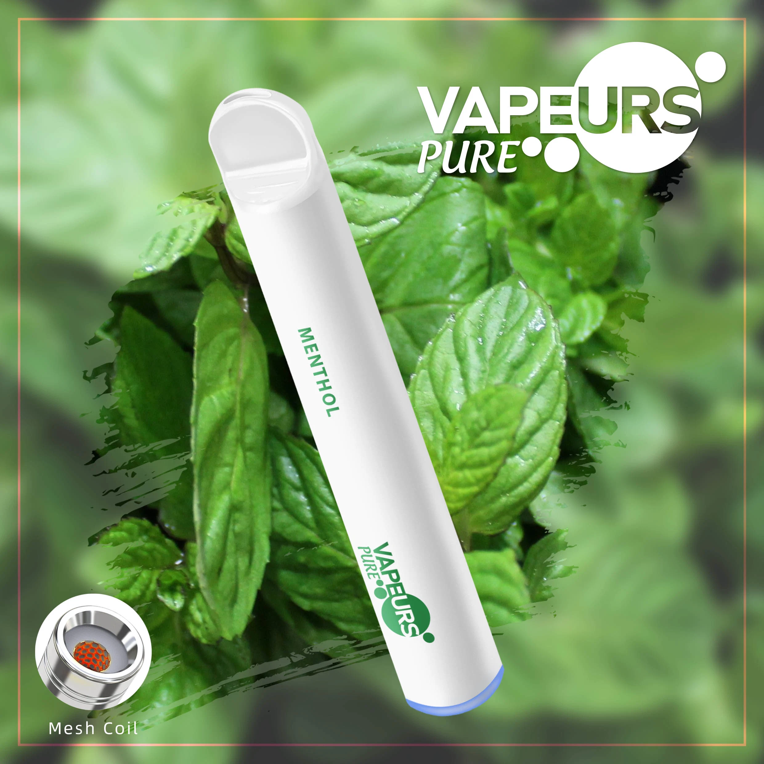 Vapeurs Pure White Electronic Cigarette Health Disposable/Chargeable 600 Puffs Vape Kits Price