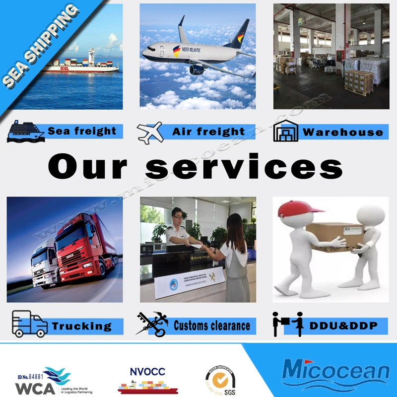 Professional Logistic Service Customs Clearance Sea Shipping From China to Thailand