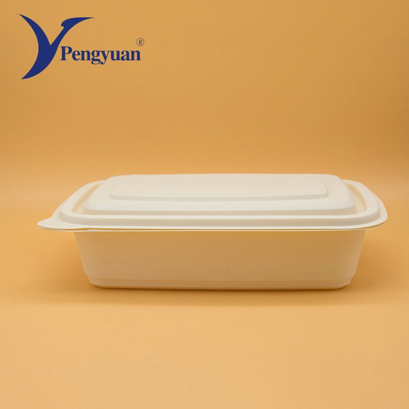 Multi-Style Food Container with Lid and Degradable Corn Starch Material