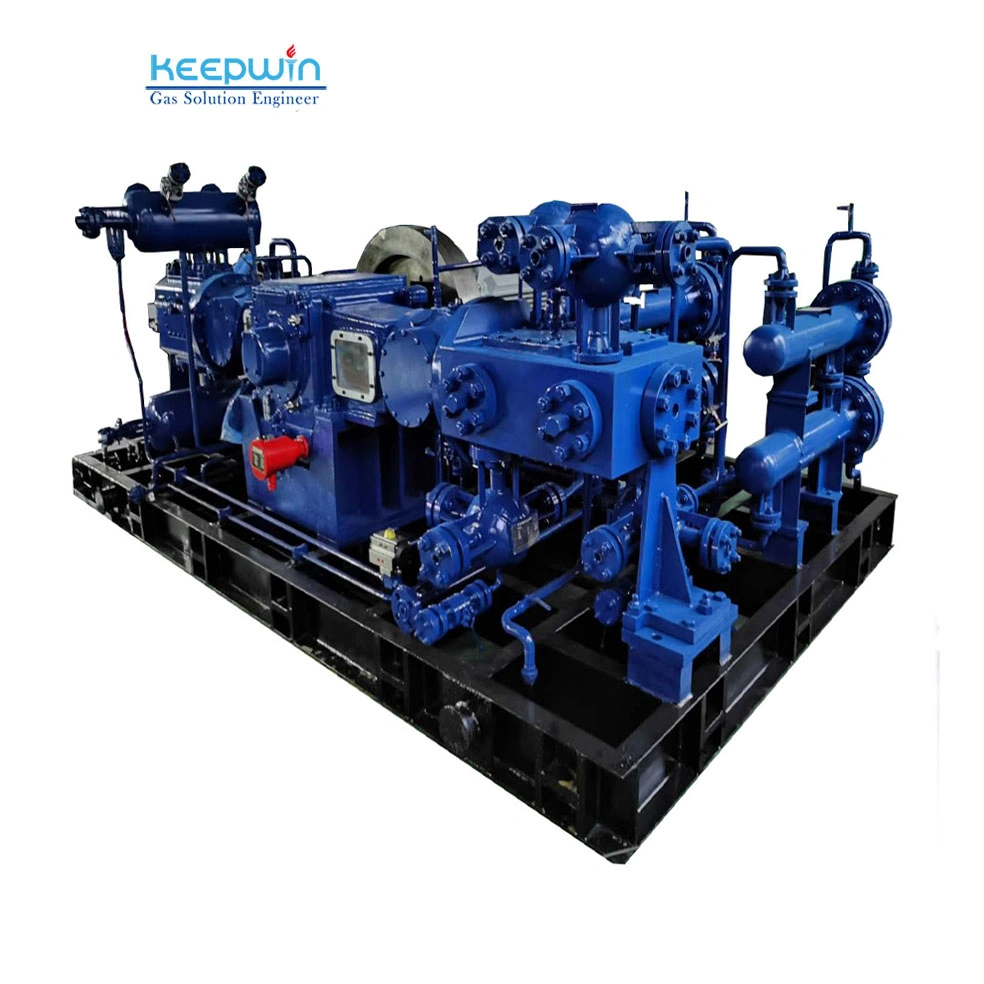 Reliable Service Partner for Gas Solution Engineer Oil Free Reciprocating Piston Compressor