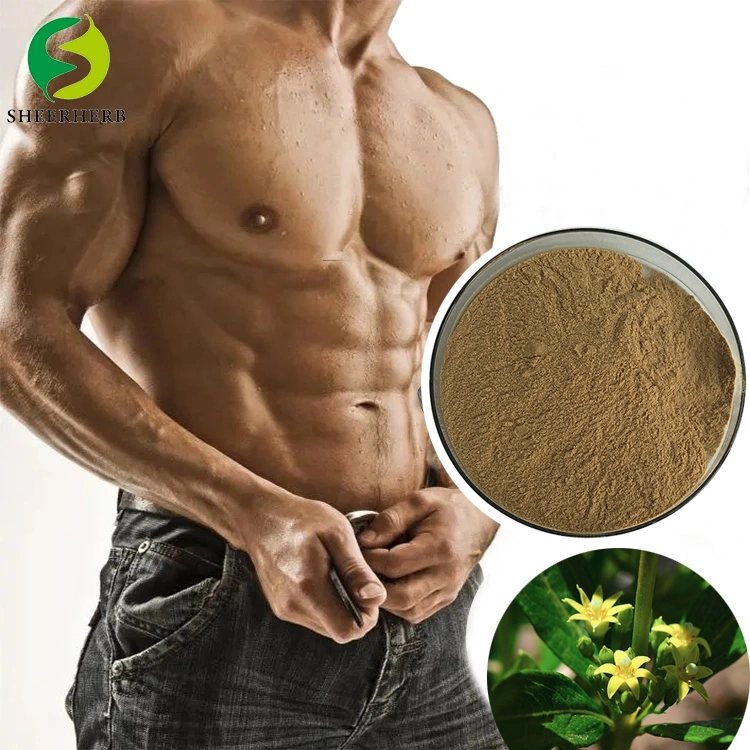 High quality/High cost performance Africa Origin Fadogia Agrestis Stem Extract Powder China Supplier Fadogia Agrestis