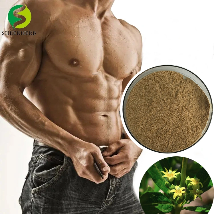 High Quality Africa Origin Fadogia Agrestis Stem Extract Powder China Supplier Fadogia Agrestis