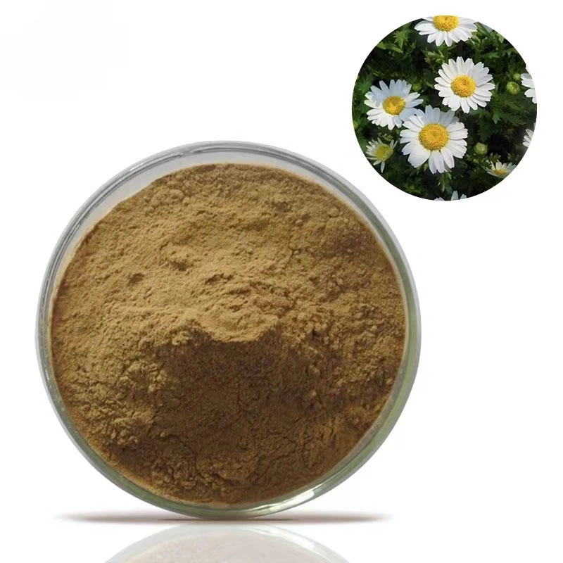 Natural Plant Extract Extract Ratio 6: 1 Herb Herbal Roman Chamomile Extract