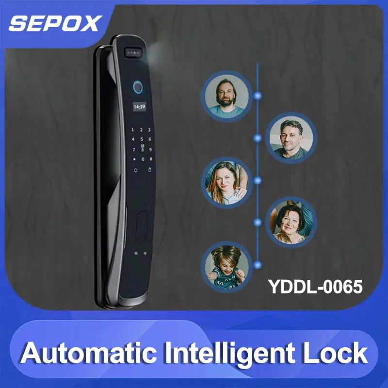 Smart Lock Face Recognition Automatic Intelligent Lock (YDDL-0065)