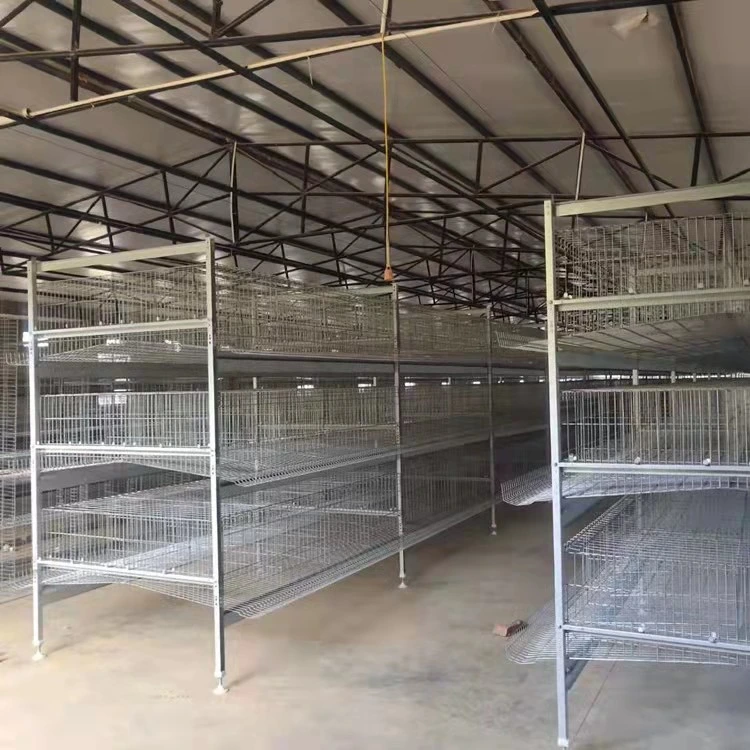 Super Verkauf Niedriger Preis Fabrik-Versorgungsmaterial Batterie Chicken Layer Cage Für Pakistan Farm