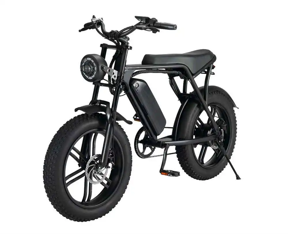 1000W Dual Drive Electric Snowmobile Beach velocidad variable E Bicicletas Bicicleta de montaña eléctrica Bicicletas eléctricas