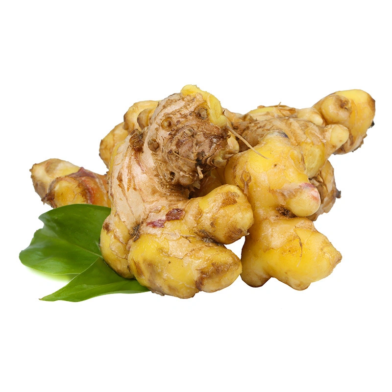 Chinese Dry Ginger Spicy Mature Ginger