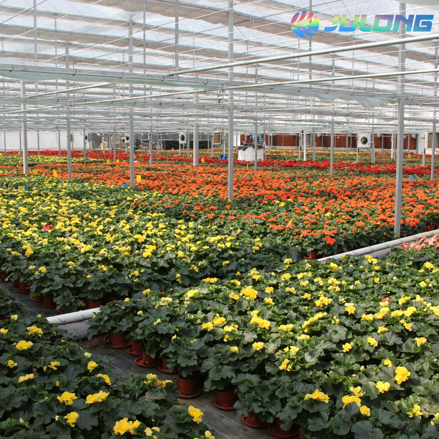 Julong Agriculture Commercial Vegetable Hydroponic Growing Systems Greenhouse on Sale