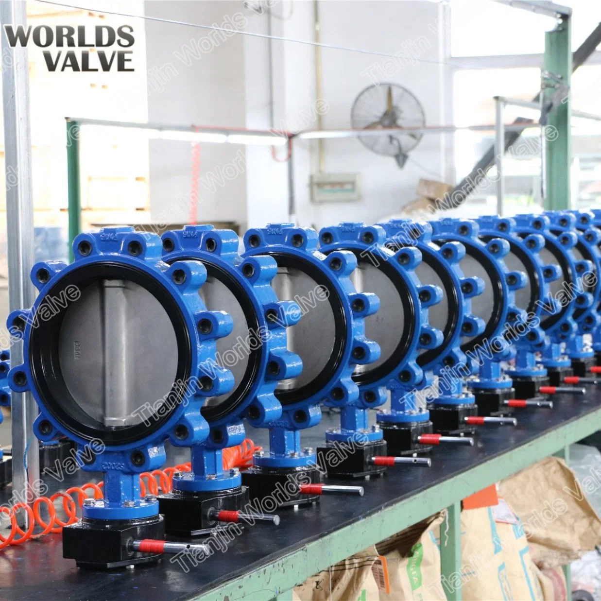Full Lugged Butterfly Valve Cast Ductile Iron Body with Gearbox
