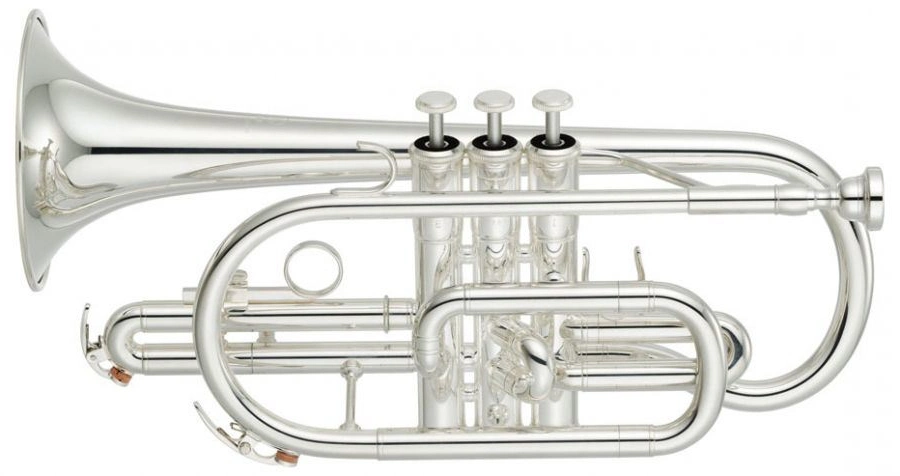 Very Good Quality Cornet Wholesale/Suppliers OEM