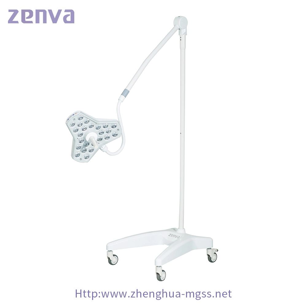 Floor Mobile Removable Portable and Adjustment Medical Examination Lamp for Pet Clinic