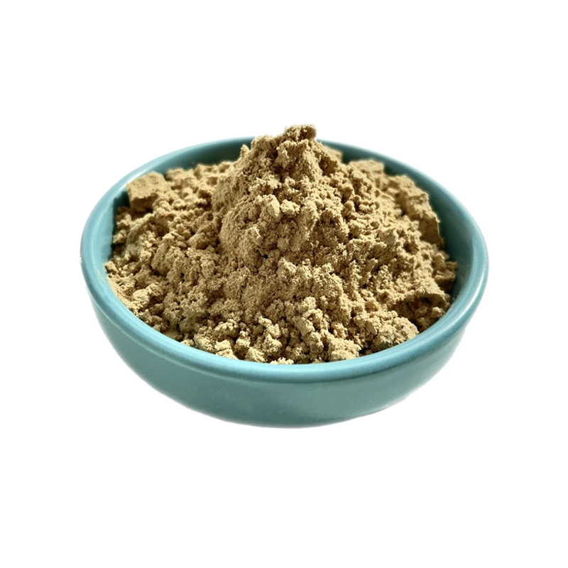 Factory Supplier Chinese Herbal Gentian Extract Powder Gentian Root Extract