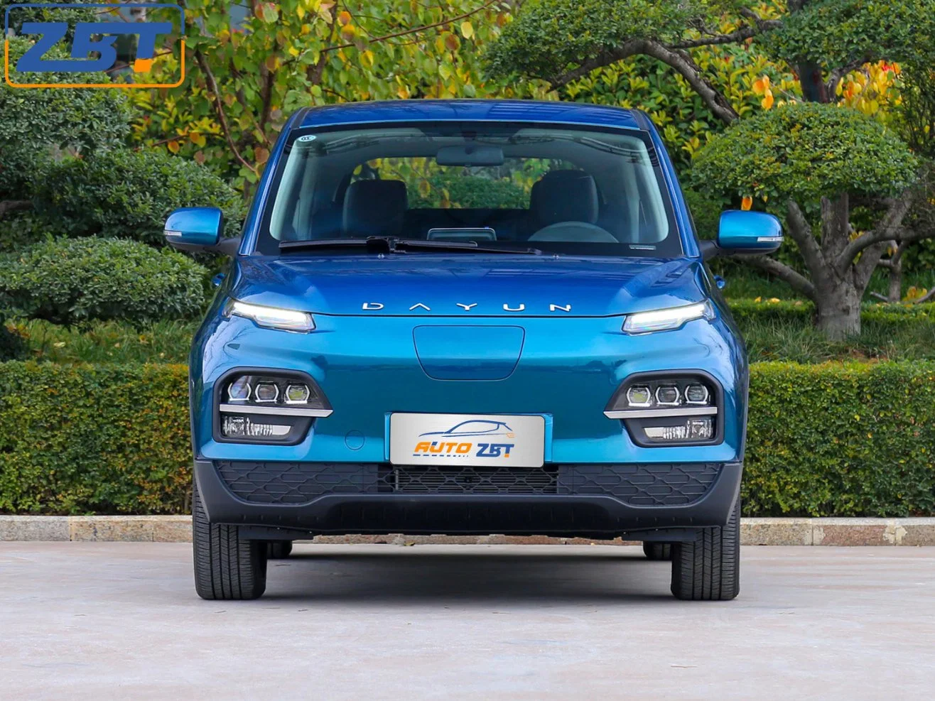 Made in China Nedc 300km Electric Brushless Motor Car ABS Ebd Yuehu Es3 Mini EV Smart Hatchback with LED Daytime Light