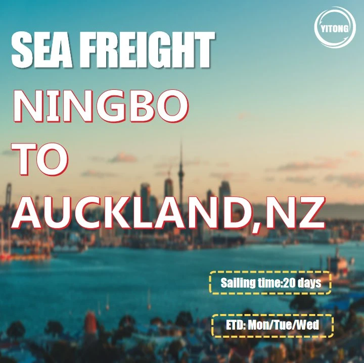 Sea Freight From Shanghai to Auckland New Zealand