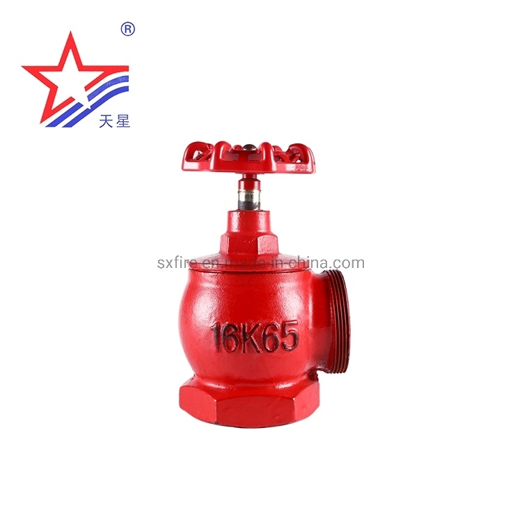 Top Quality 16K50/65 Indoor Fire Hydrant for Fire Fighting Equipment