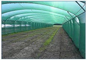 Wholesale/Suppliergarden Netting, Ultra Fine Garden Mesh Netting Greenhouse Protection Net, Reusable Plant Covers for Protect Vegetables Fruits Plant Flower Crop Screen