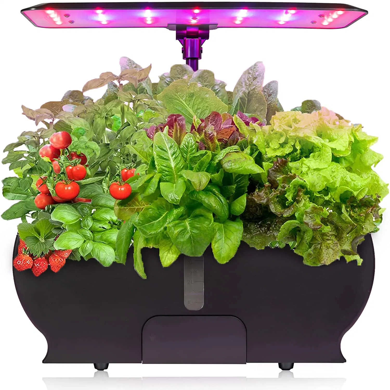 Sistema hidropónico automático contenedor de nutrientes Mini Smart Jardín interior Sistema hidropónico con luces