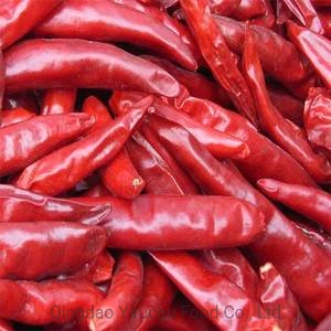 Premium Quality Dry Red Chilli