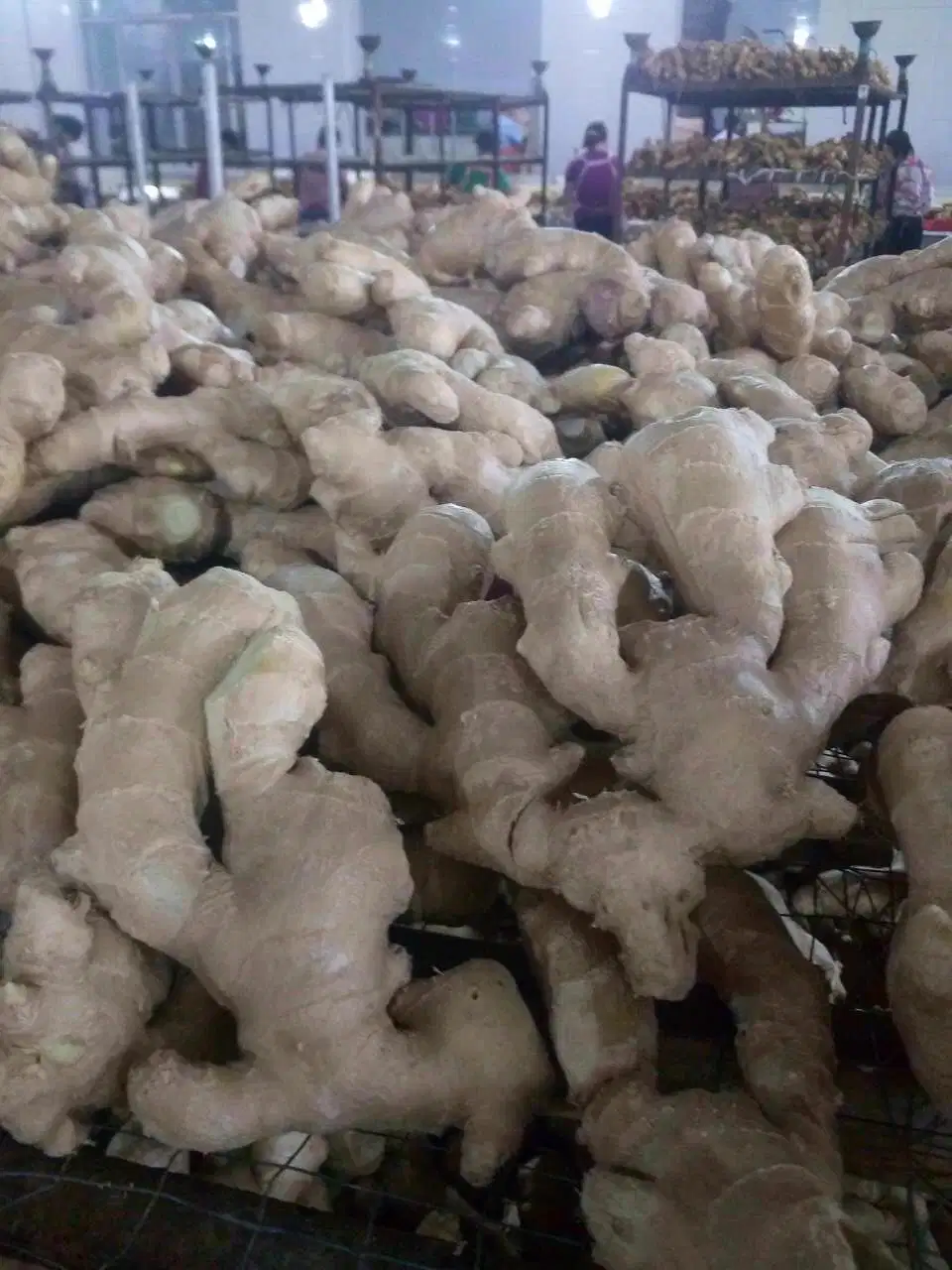 Air Dried Ginger with PVC Carton