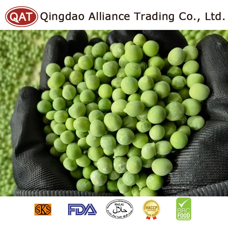 Non GMO Health Frozen Green Peas IQF Vegetables Green Garden Snow Pea for Exporting