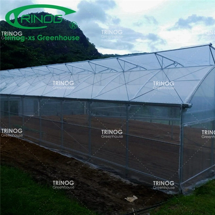 Tamanho grande preço de fábrica de tubos de aço galvanizado Multi-span agrícolas Estufa de filme com boa qualidade