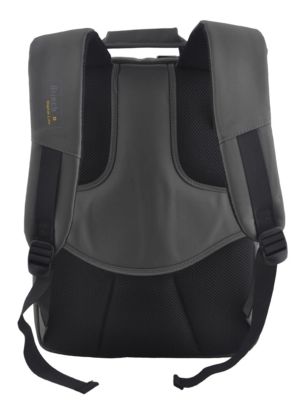 Fashion Backpack Computer Laptop Bag (SB6608)