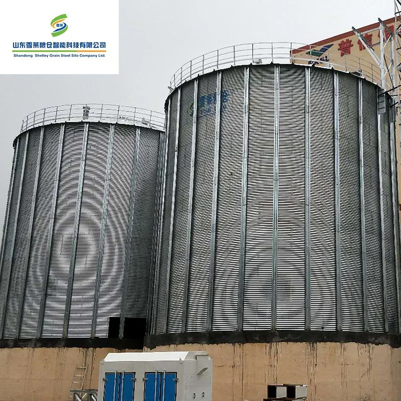 Shelley 1 Ton Grain Bin China Steel Silo Manufacturers 9000t Flat Bottom Wheat Steel Silos Automatic Silos