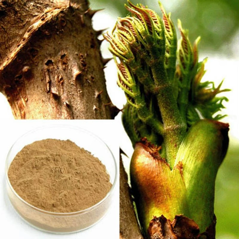 Nutural Botanical Extract Aralia Elata Extract 20%~40% Aralosides Dropping Blood Fat Factory Supply