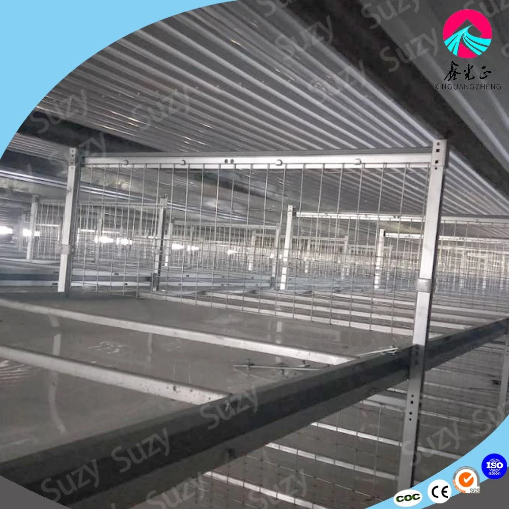 Good Price Automatic Poultry Farm Equipment Layer Chicken Battery Cage for Sale