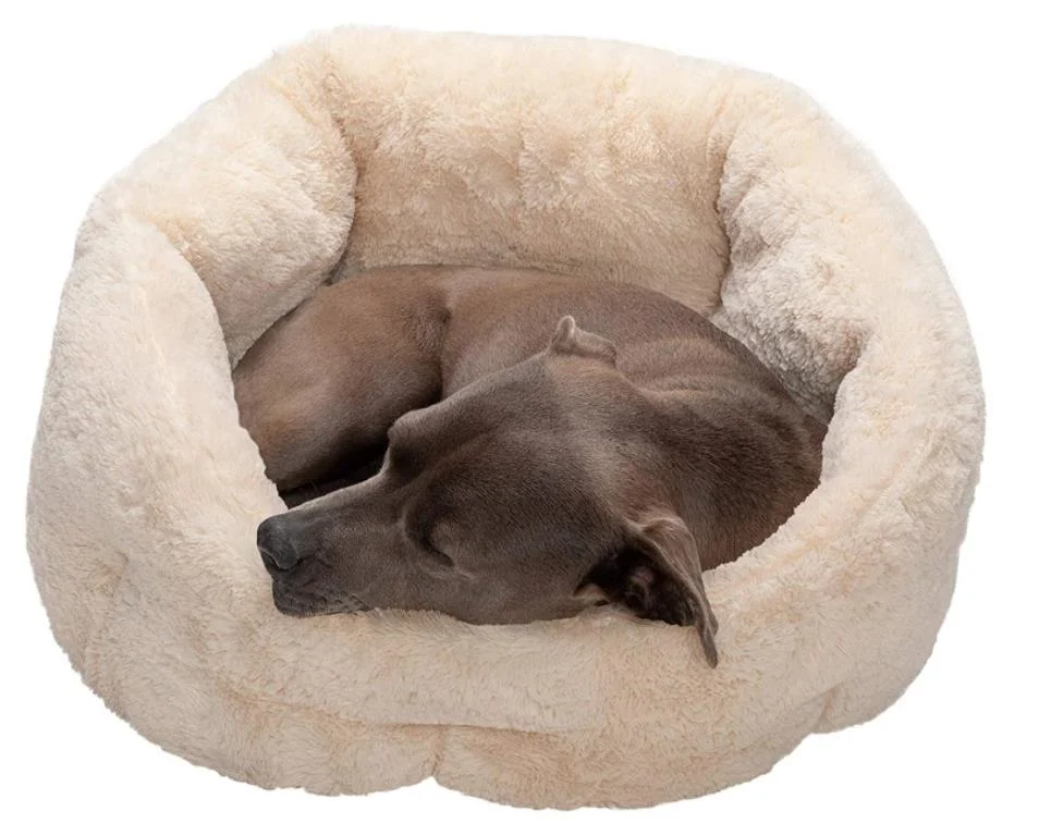 Hanyang High Performance Dog Blue Customized Professional Supplier New Design Custom Color Accessories Pet Bed