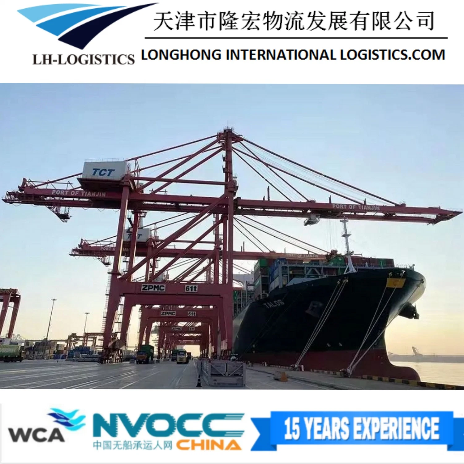 International Sea Freight Shipping Company with Freight Forwarder Cheapest Breakbulk Vessel Chartering/Roro Vessel Chartering/Bulk Shipping 1688