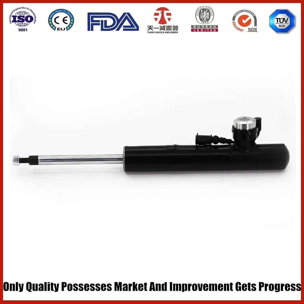 Air Suspension Air Shock Absorber for Audi Q5 8r Front Left