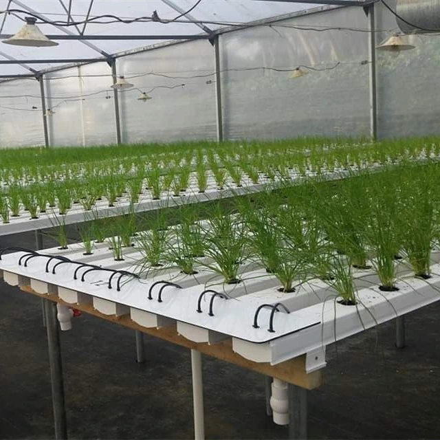 PVC Hydroponics Nft Channels 100X50mm PVC Trough Nft Gutter Aquaponics Growing System