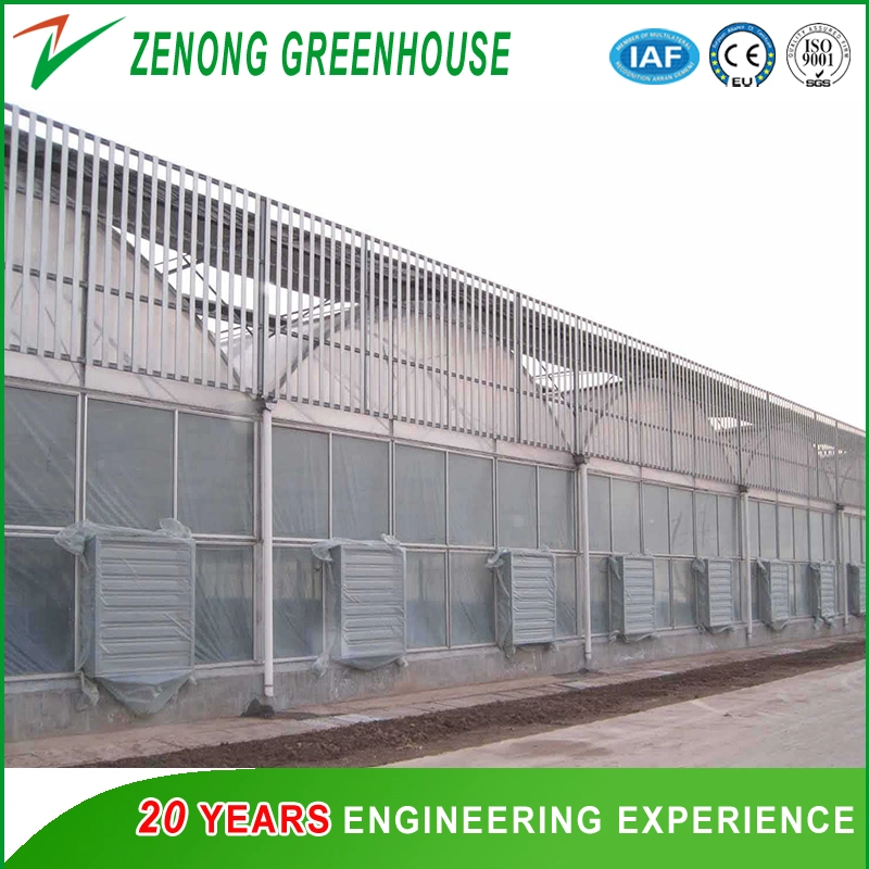 Film Greenhouse with Cooling Pad and Fan System for Cooling Down