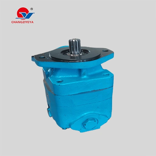 Tzyy Changzhi Hydraulic Power Steering Vane Pump for All Kinds of Heavy and Light Truck or Engineering Vehicles