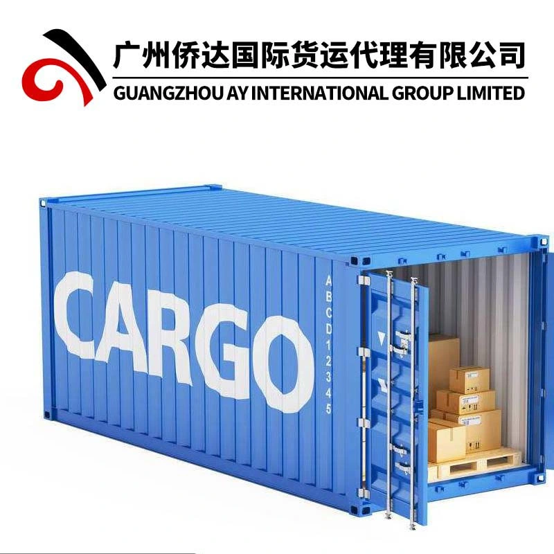 Cargo Shipping Freight From China to Nepal/Bhutan/Afghanistan/Pakistan/Laos by Combined Transport