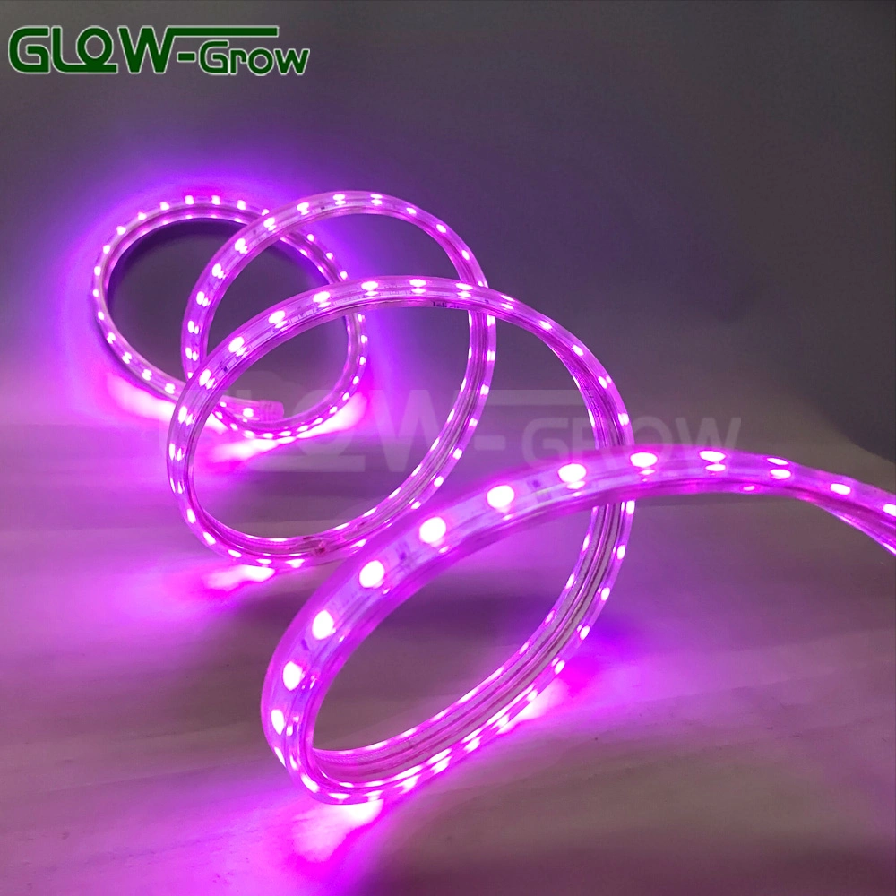 AC110V 220V Popular LED Flexible Strip Light High Voltage SMD 5050 RGB Strip Light for Holiday Ramandam Diwail Christmas Halloween Home Decoration